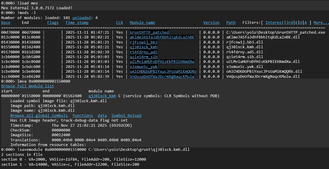 Dump assemblies for analysis